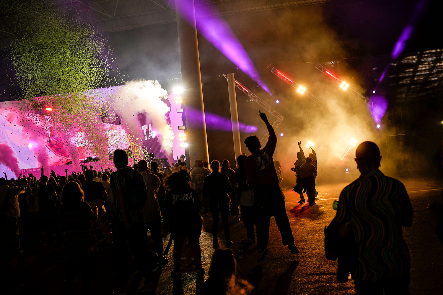 Mennesker er glad i å danse, uten at vi vet helt hvorfor. Men nå vet forskere at bass påvirker oss og øker lysten til å bevege oss. Her danser folk på en festival i Brasil 5. november. 