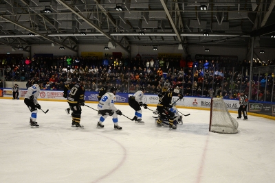 Ringerike Panthers i GET-ligaen