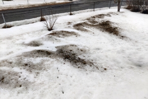 Lettvint for kommunen – men hvem tar regningen?